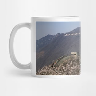 850_0589 Mug